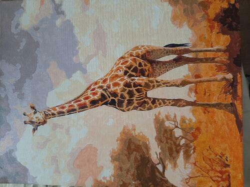 Фотографии готовых работ картин по номерам и алмазной мозаики