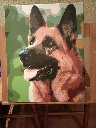 Фотографии готовых работ картин по номерам и алмазной мозаики