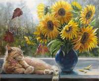 в интернет-магазине