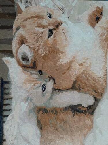 Фотографии готовых работ картин по номерам и алмазной мозаики