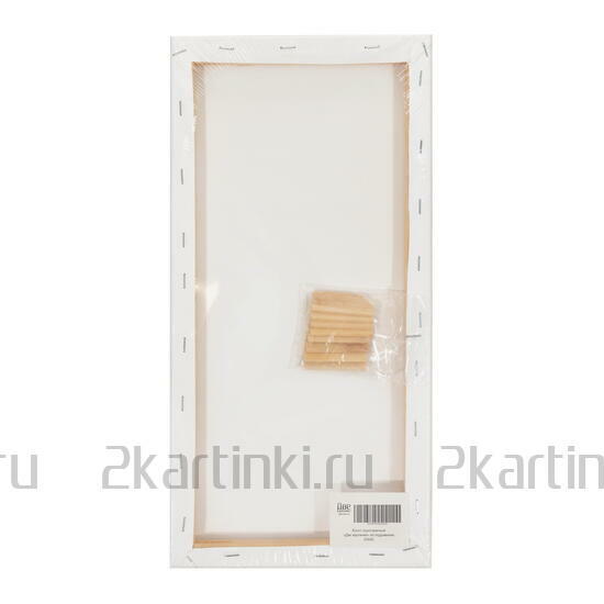 Тип товара Коробка 40 шт.: Холст Две картинки на подрамнике 20X40