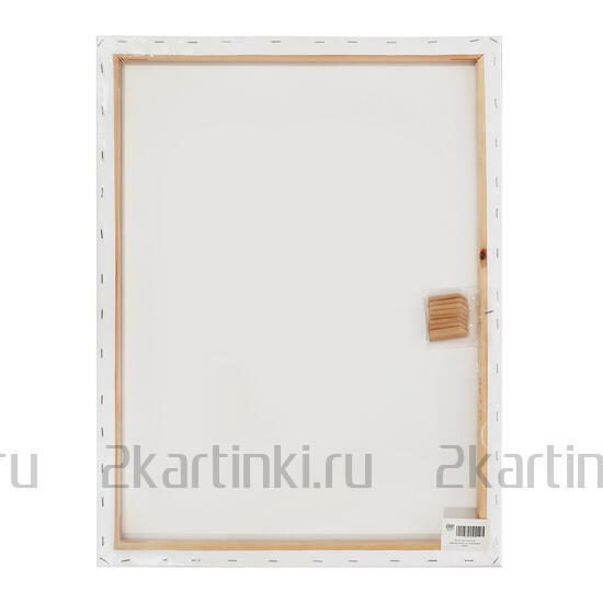 Тип товара Холст Две картинки на подрамнике 50X65