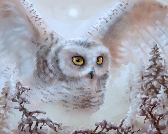 Алмазная мозаика 40x50 BOX20-2KMB-3848