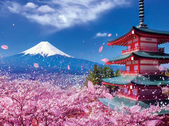 Алмазная мозаика 30x40 BOX20-2KSB-7277