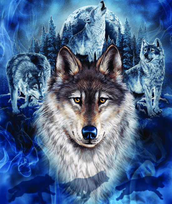 Алмазная мозаика 21x25 BOX40-2KXSB-0687