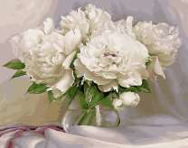 Белоснежные пионы