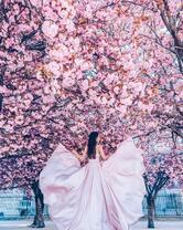 Девушка под цветущими сакурами