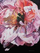 Смущенная красота