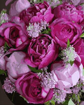 Пионовидные розы