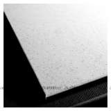 Картина по номерам 40x50 GX24603 Котенок в цветах сакуры за 1050 руб. в интернет-магазине Картина по номерам 40x50 Котенок в цветах сакуры