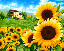 Цветущие подсолнухи на лугу