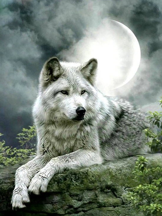 Картина по номерам 40x50 Коробка 25 шт. картин по номерам BOX25-GX21058