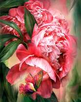 Яркие пионы и красная бабочка