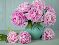 Нежно-розовые пионы в вазе