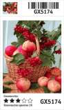 Картина по номерам 40x50 Плетёная корзина с калиной и яблоками