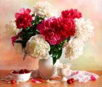 Сочные пионы и черешня