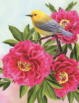 Птичка на цветах пионов