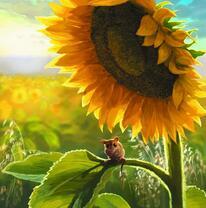 Мышонок на подсолнухе