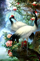 в интернет-магазине