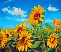 Яркие подсолнухи на фоне чистого неба