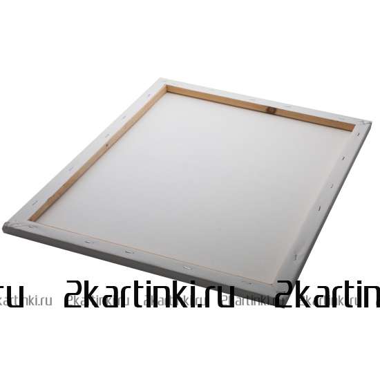 Картина по номерам 40x50 GX24603 Котенок в цветах сакуры за 1050 руб. в интернет-магазине Картина по номерам 40x50 Котенок в цветах сакуры