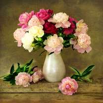 Букет из нежных пионов