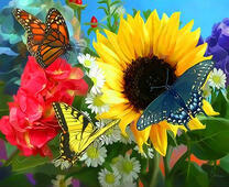 Три больших бабочки на ярких цветах