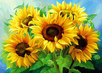 Яркие подсолнухи в букете