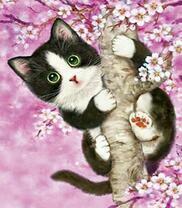 Черно-белый котенок на ветке цветущей сакуры