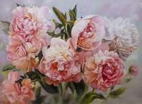 Куст розовых и белых пионов