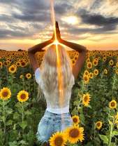 Девушка на поле подсолнухов и восход солнца