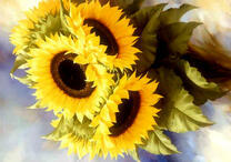 Букет из молодых подсолнухов