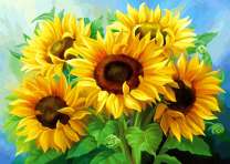 Пять ярких цветущих подсолнухов