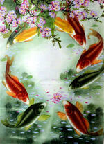 Стая рыб в прозрачном озере под сакурой