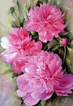 Нежные пионы