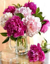 Букет пионов в кружке